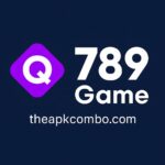 Q789 Game Logo