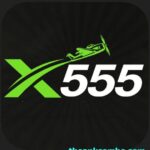 X555 Game logo