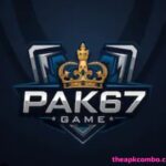 PAK67 Game logo
