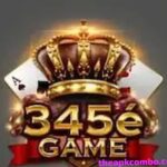 345E Game logo