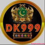 DK999 Game logo
