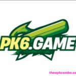 PK6 Game logo