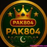 pak804 game logo