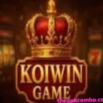 koiwin game logo